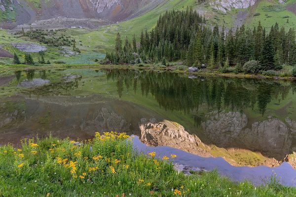 Jaynes Gallery 아티스트의 USA-Colorado-Uncompahgre National Forest Mountain wildflowers and pond landscape작품입니다.